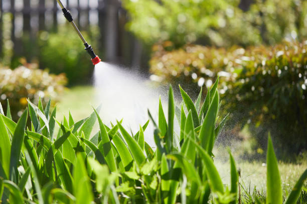 24/7 Emergency Cockroach Control experts in Forest Park, GA