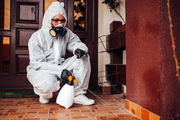 Reliable Cockroach Control contractor in Forest Park, GA by Nex Pest Control